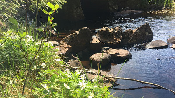 Lad os komme i gang igen – sammen